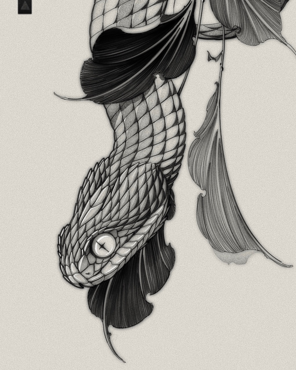 Snake, Dragon