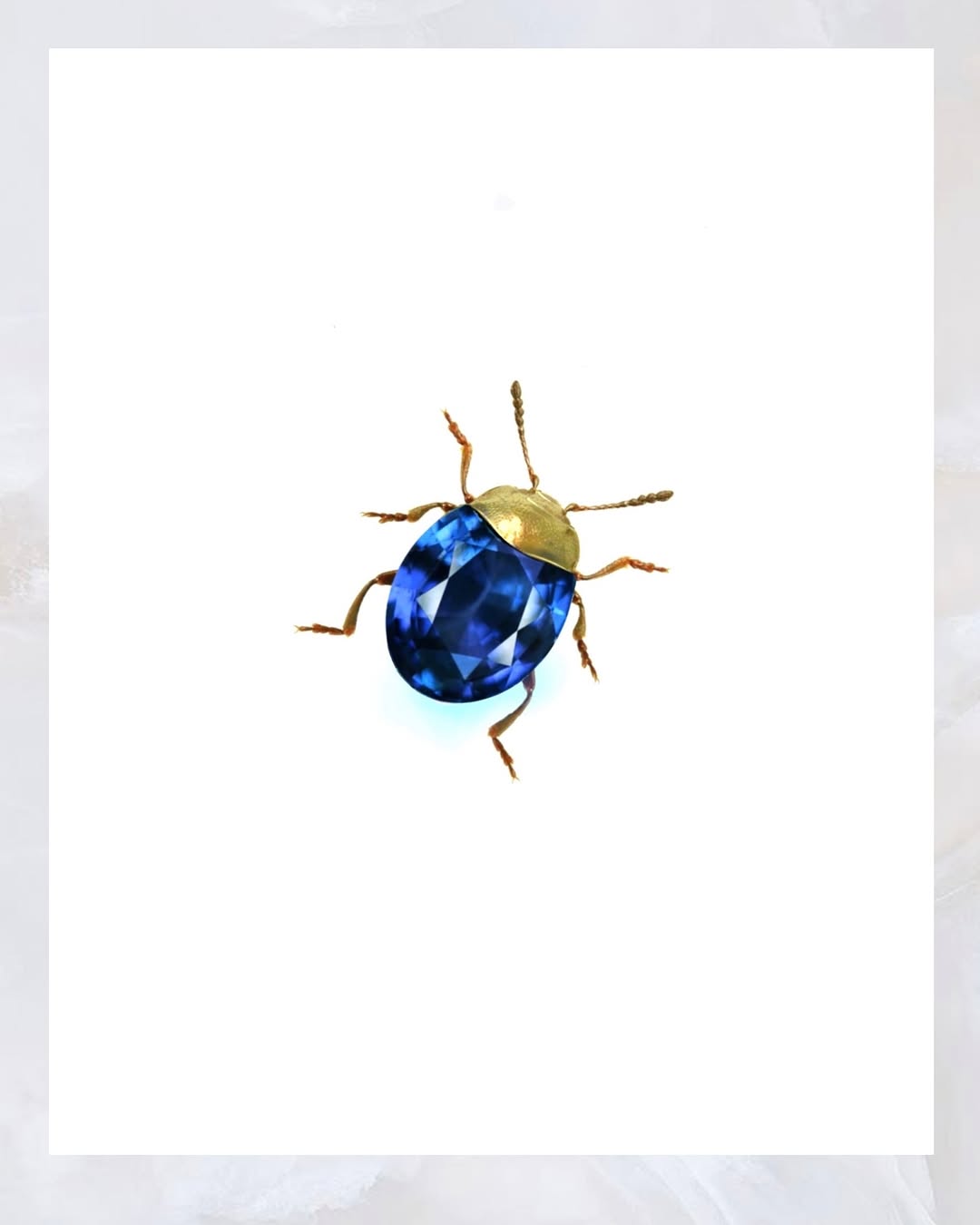 caotida