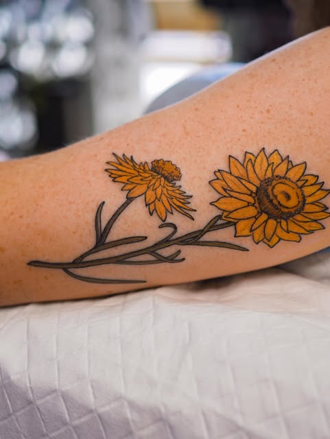해바라기, Flower