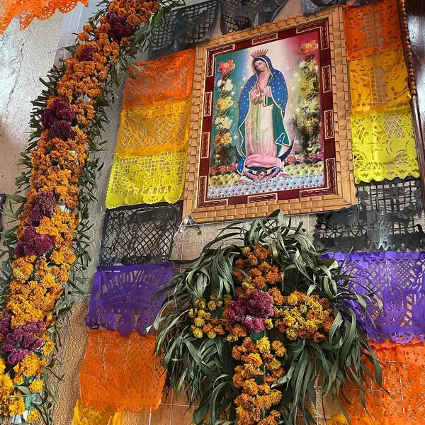 miguelochoa