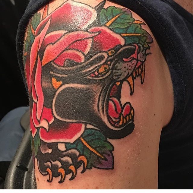 Animal, Tiger