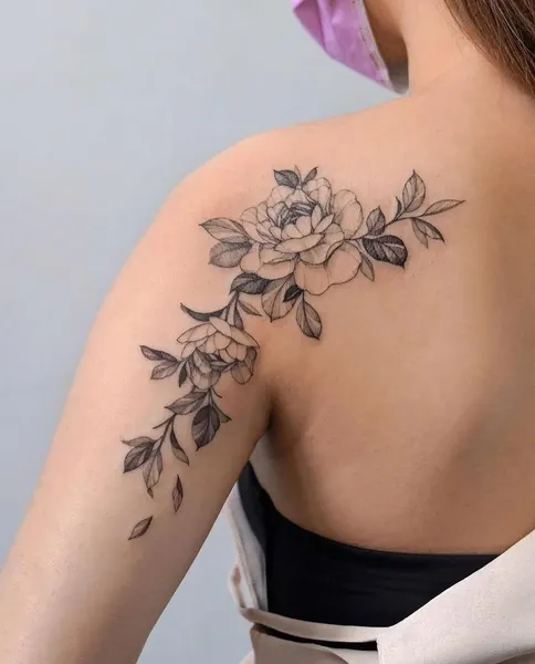 Flower, Nature, Rose