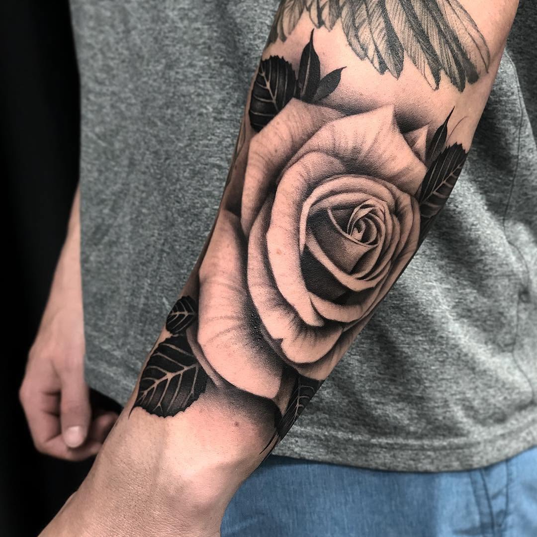 Flower, Rose