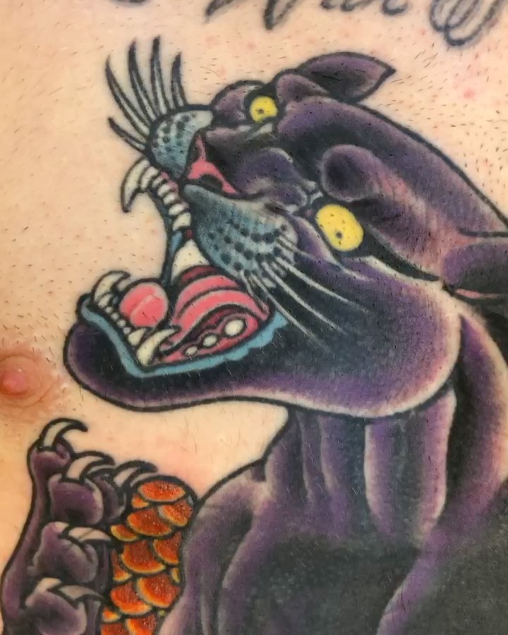 Tiger, Animal
