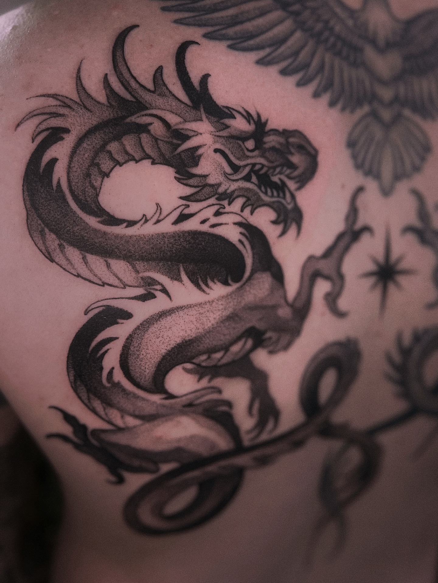 Dragon, 드래곤 라이더, 한국 용