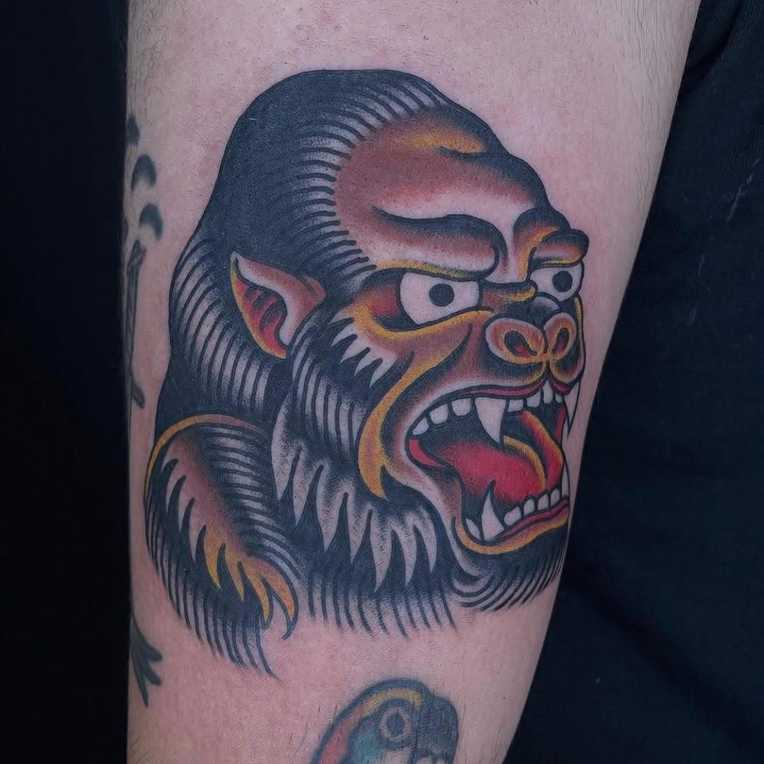 Tiger, Animal