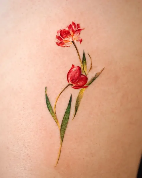 튤립, Flower