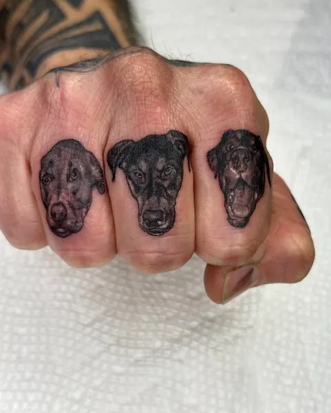 Animal