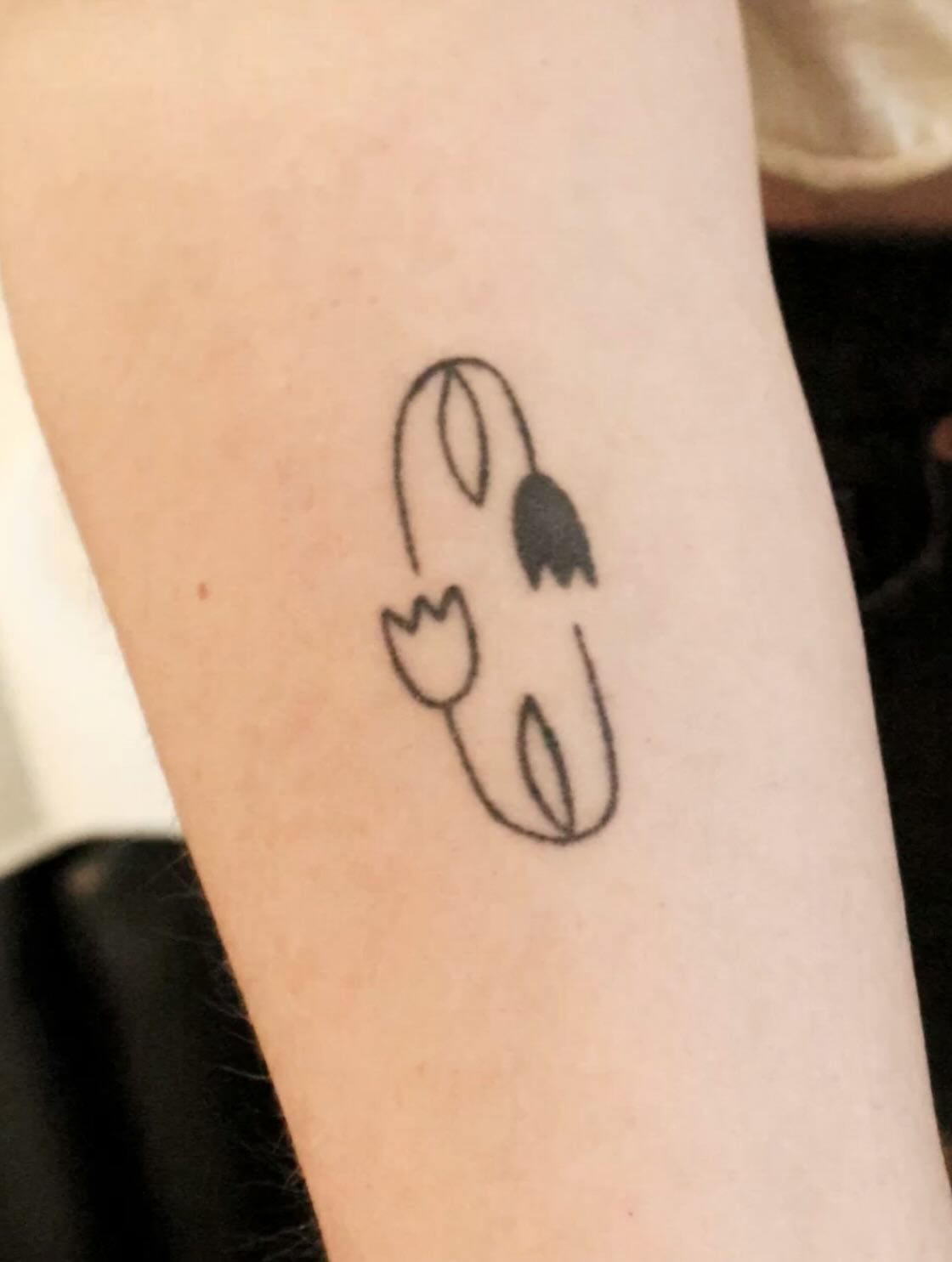 Flower, Rose, Nature, Animal