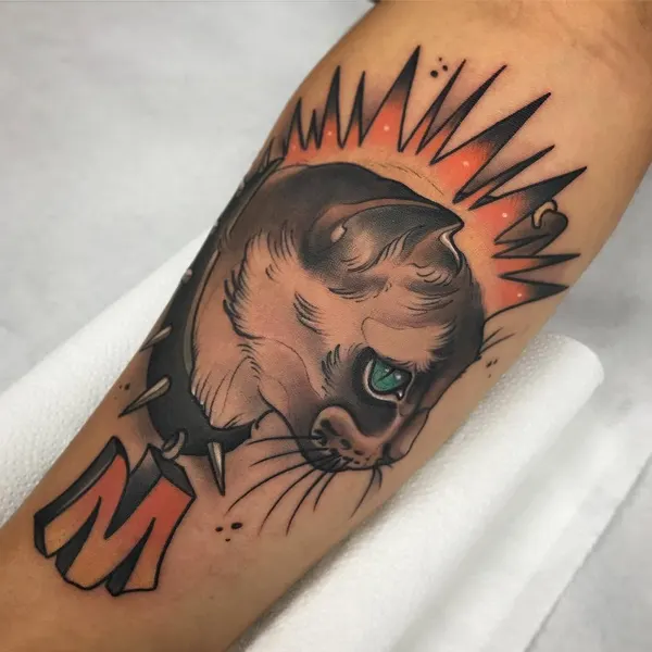 Animal