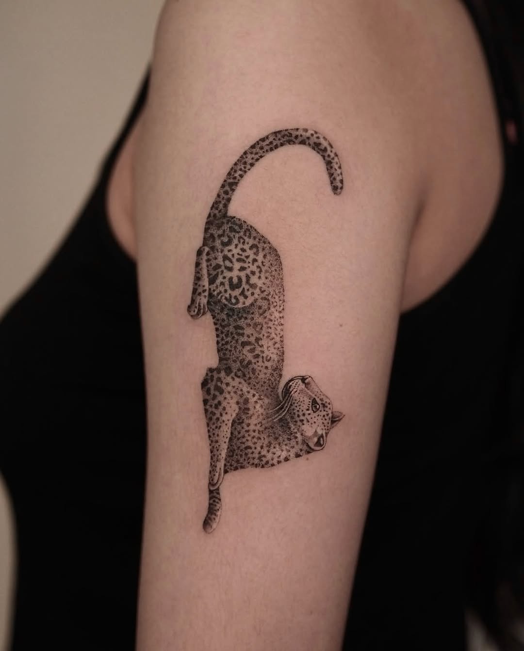 Animal, Tiger