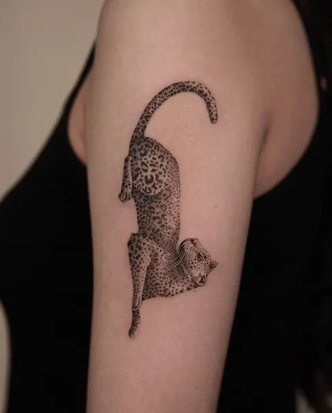 Animal, Tiger