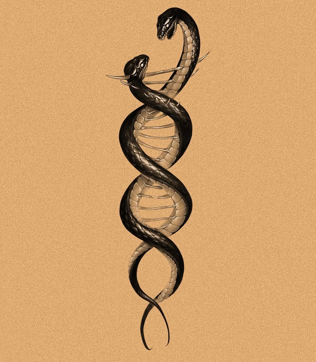 Snake, Dragon