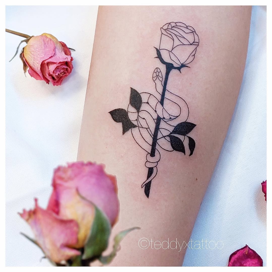 Flower, Rose
