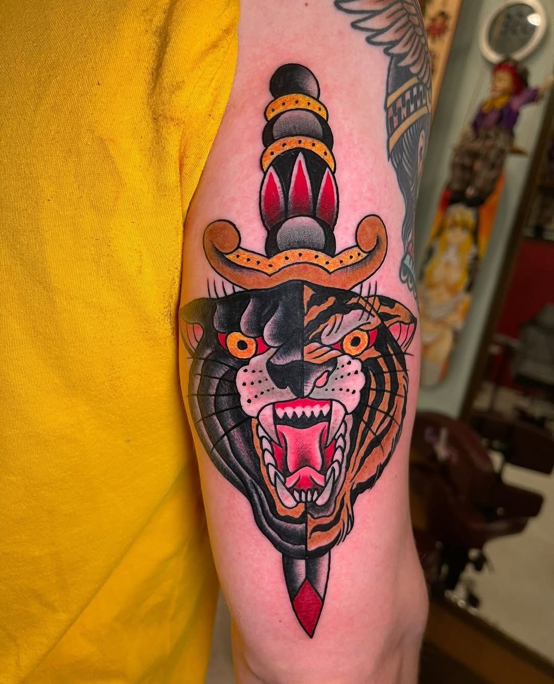 Tiger, Animal