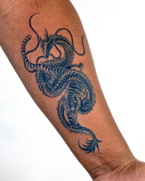 Dragon, 문어, 크라켄