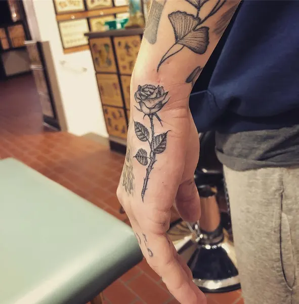 Flower, Rose