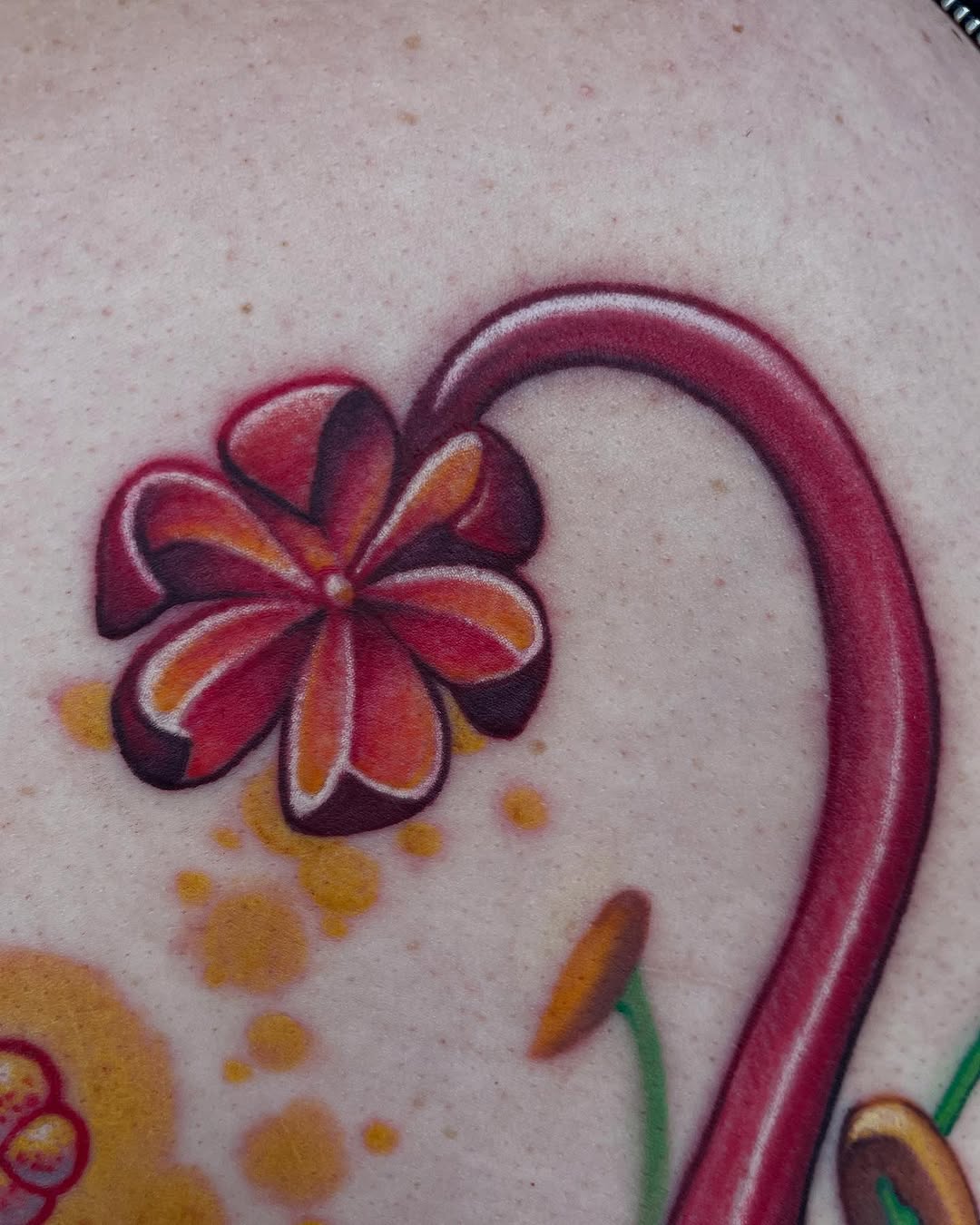 Flower