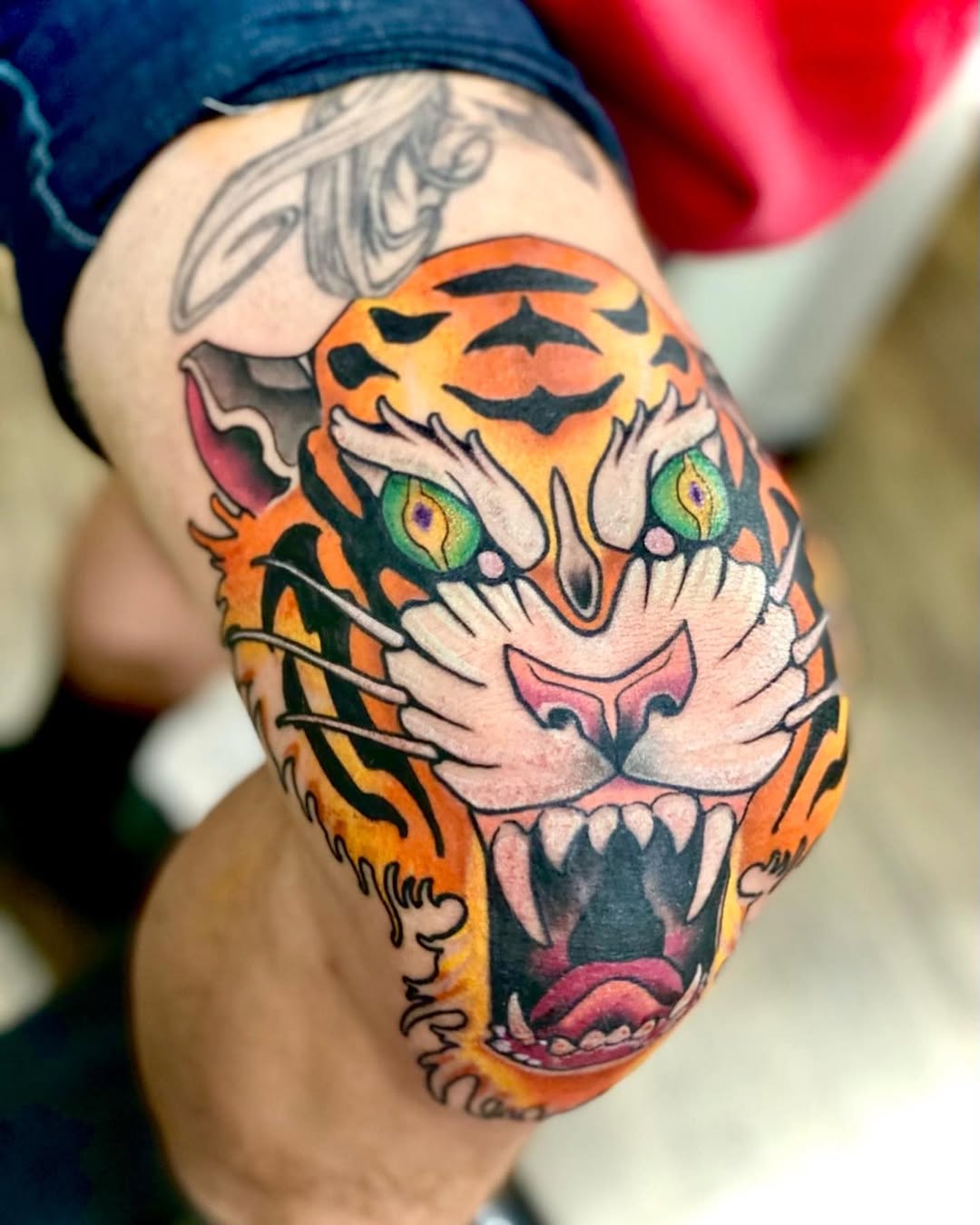 Tiger, Animal