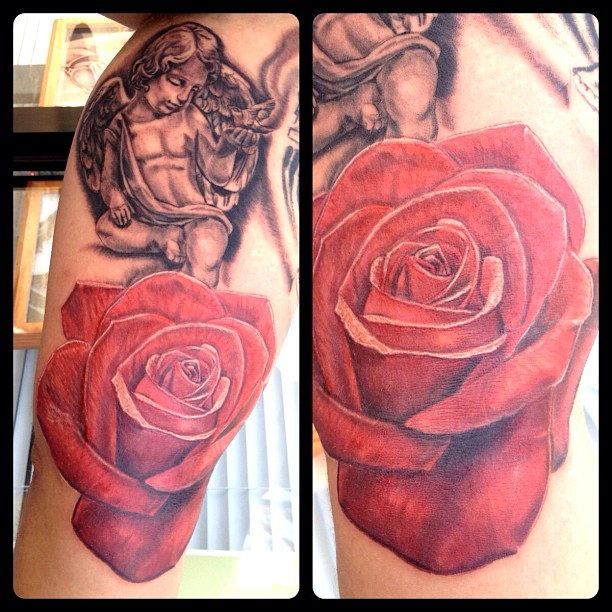 Flower, Rose