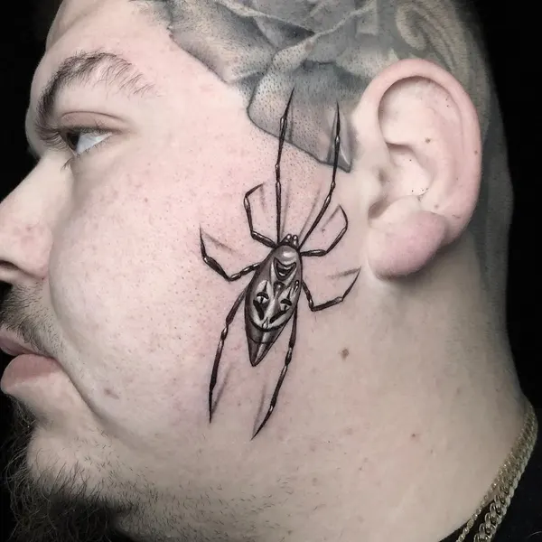 Animal