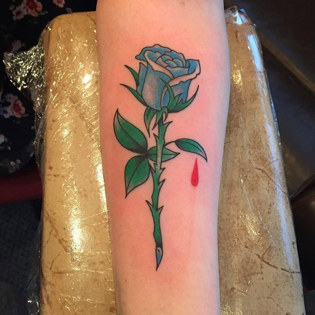 Flower, Rose, Nature