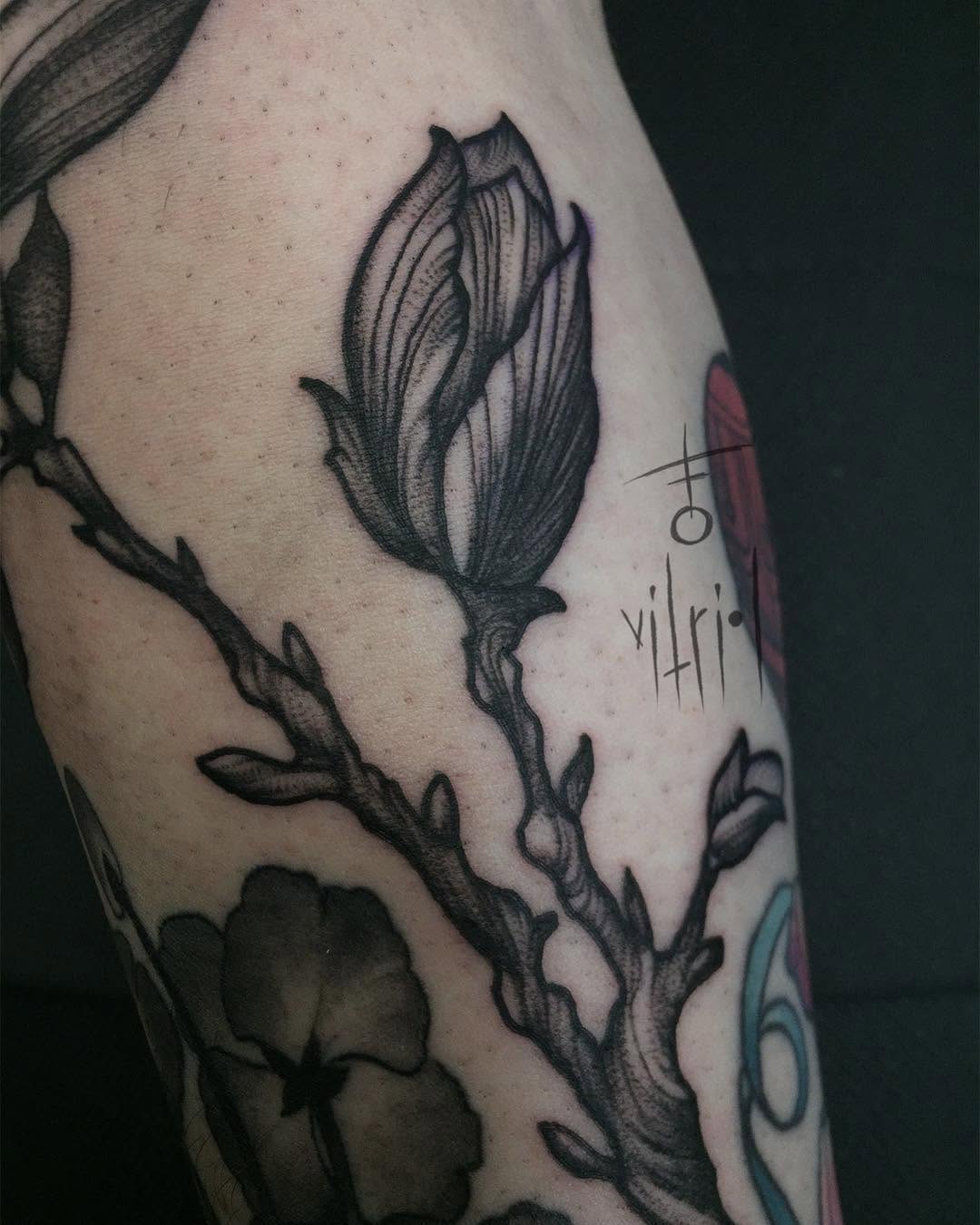 Flower, Rose