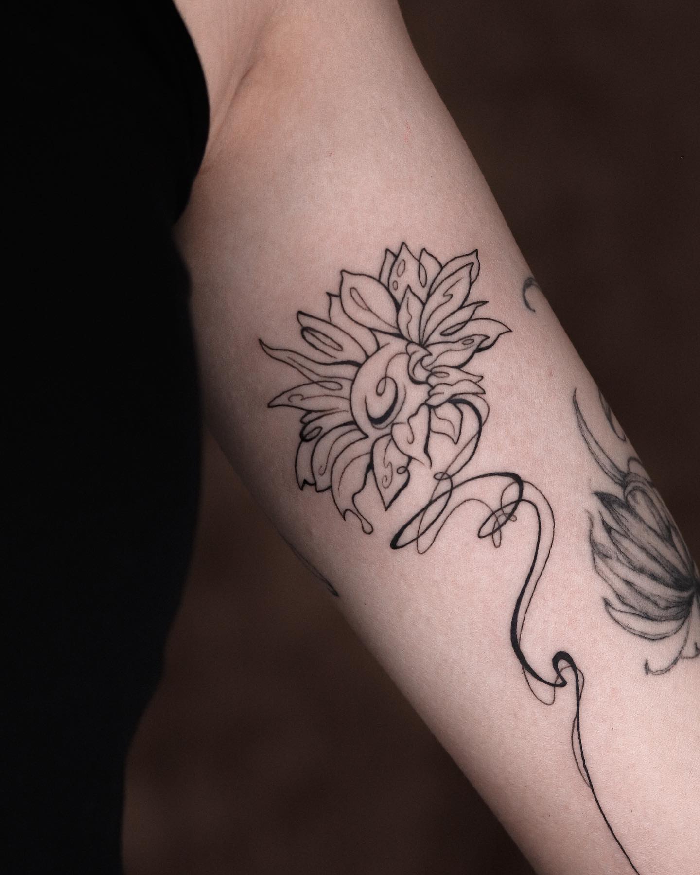 Rose, Flower