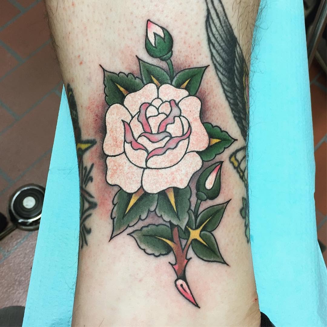 Flower, Rose