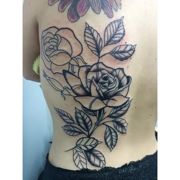 Flower, Rose, Nature