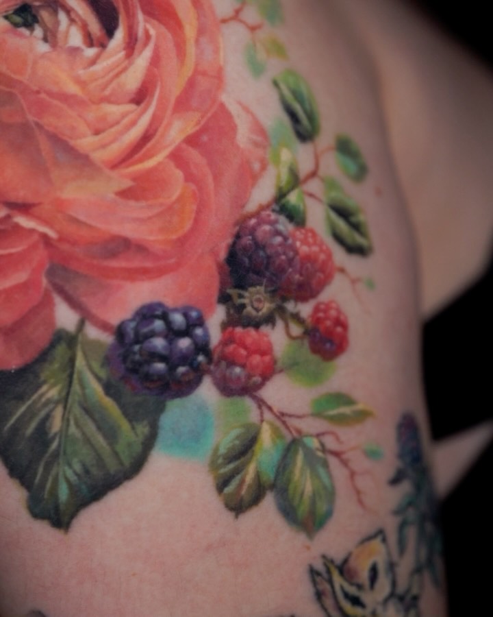 Flower, Nature, Rose