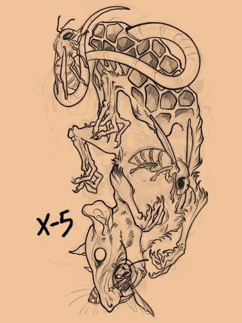 Flower, Animal, 사무라이, Tiger