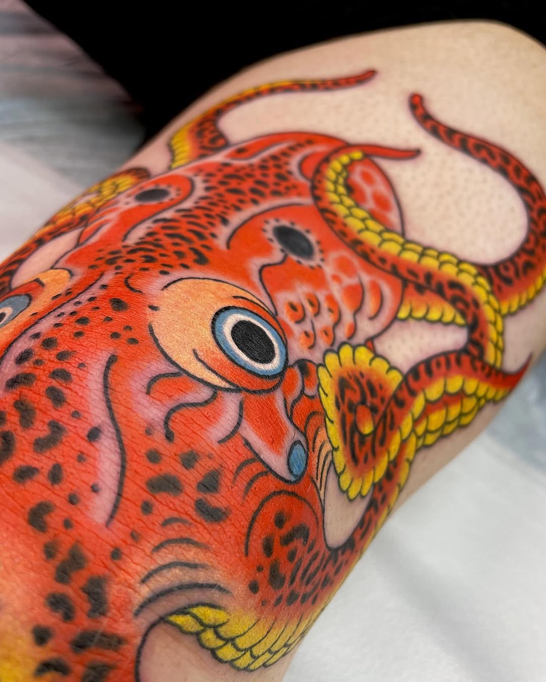 Animal