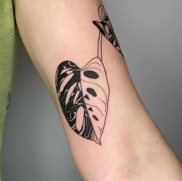 plantsnpokes