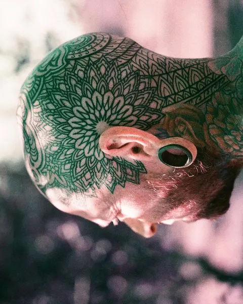 dillonforte