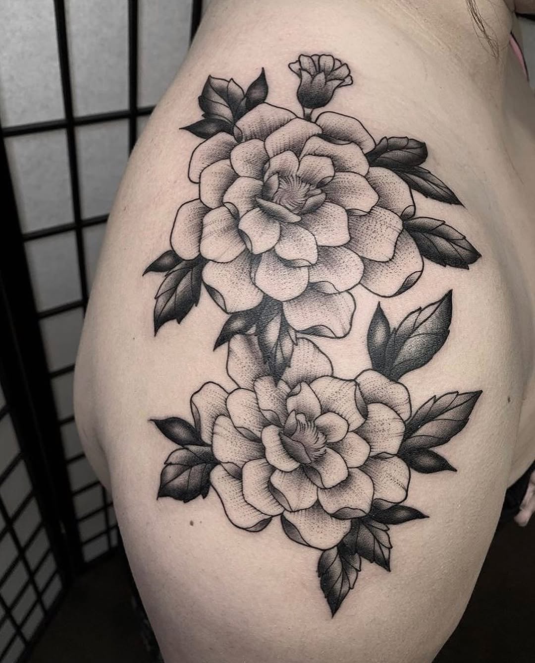 Flower, Rose, Nature