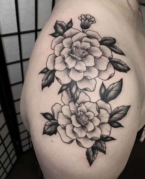 Flower, Rose, Nature