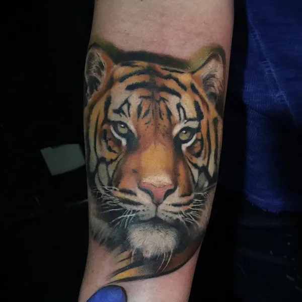 Tiger