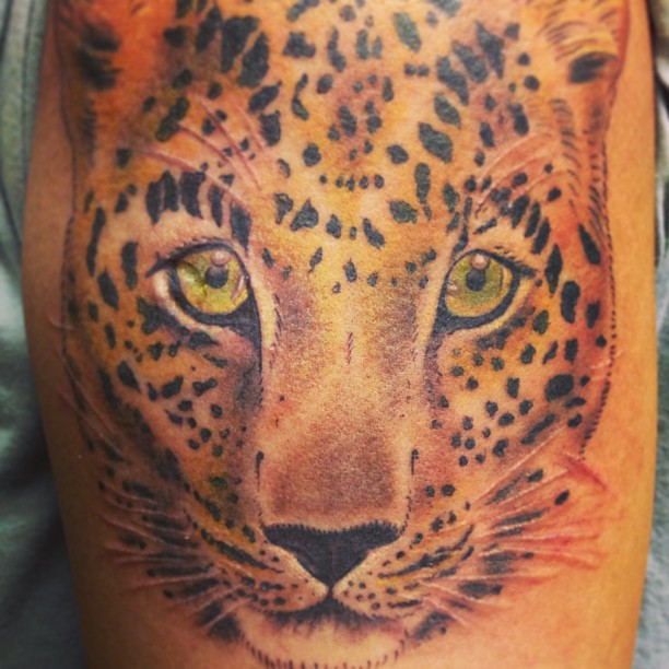 Animal