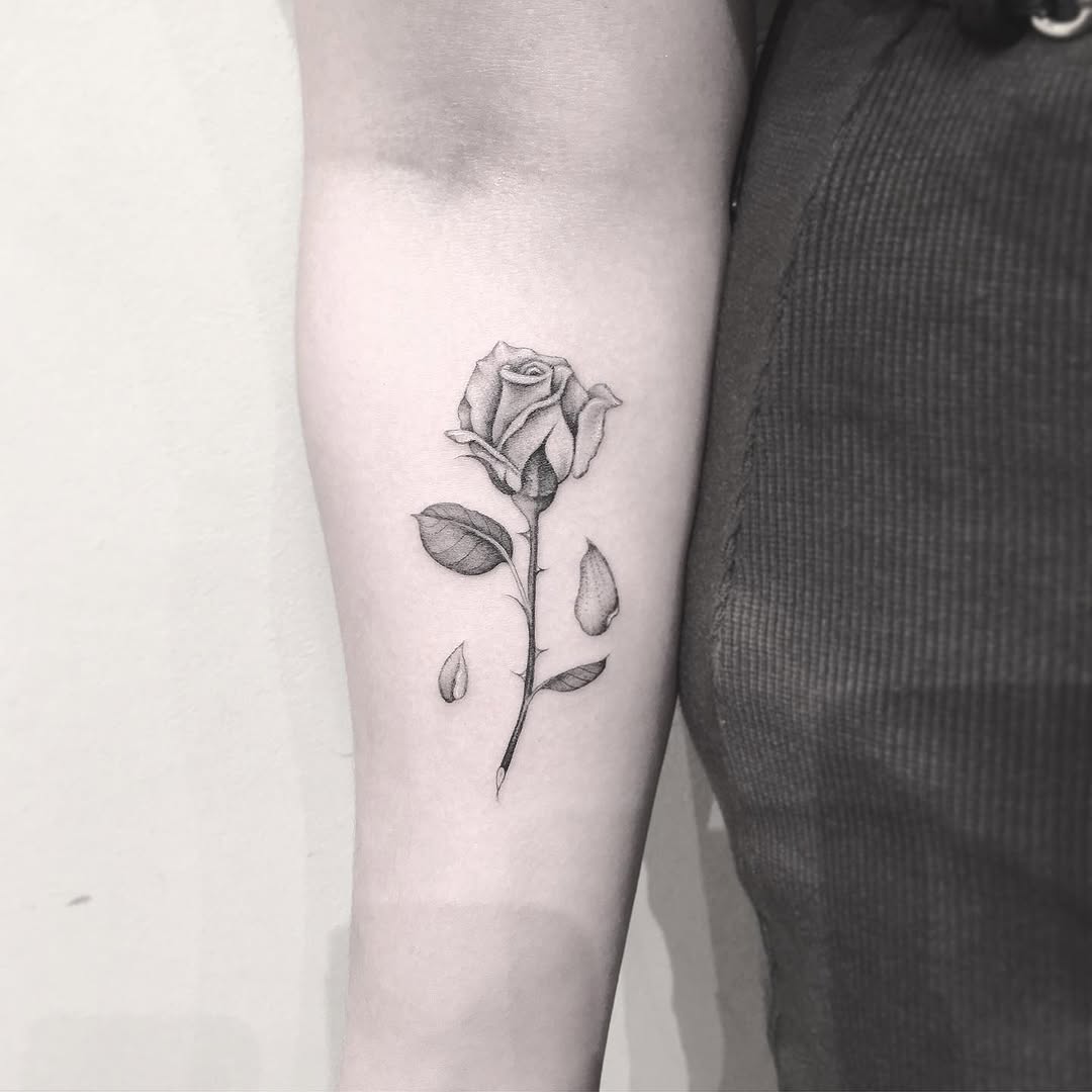 Flower, Rose
