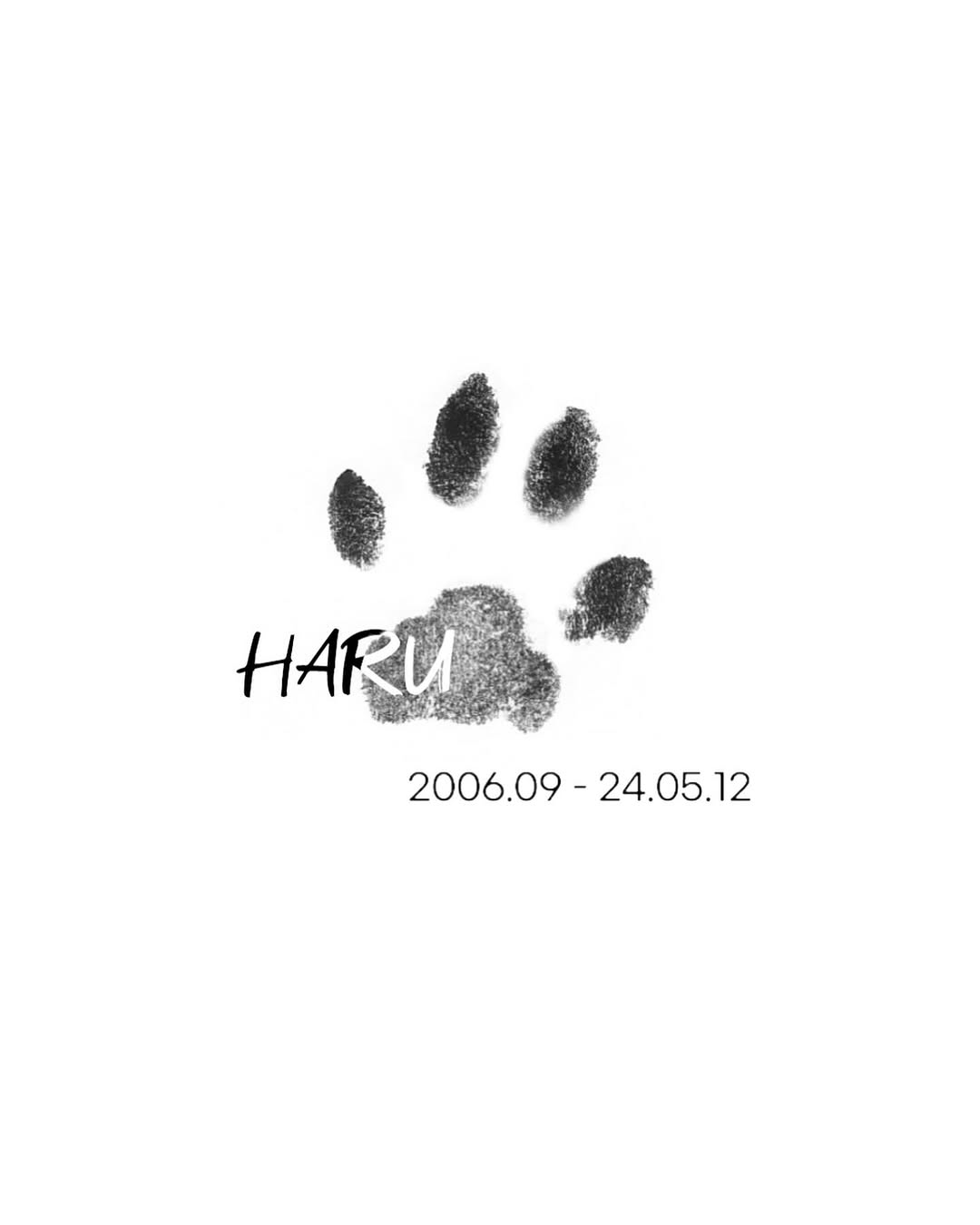 dorok.tattoo