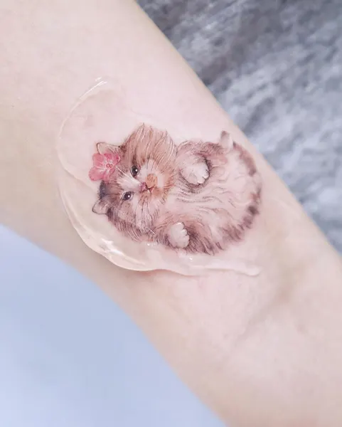 Animal, 버섯