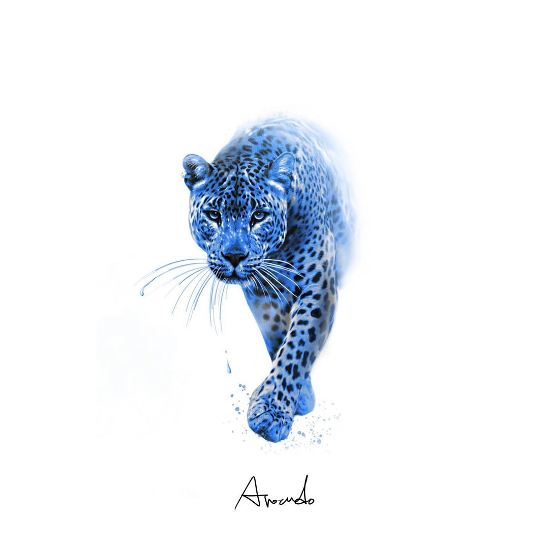 Animal