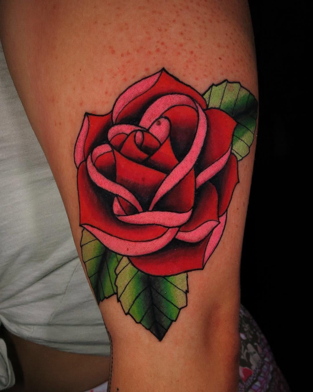 Flower, Rose, Nature