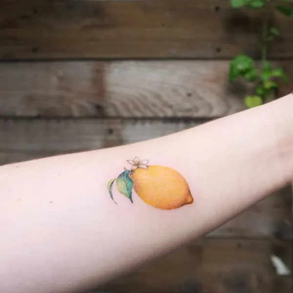 과일, Flower, 레몬, 석류, 체리, 무당벌레