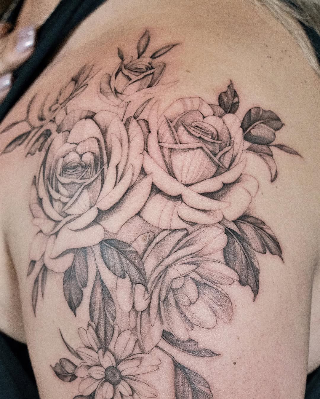 Flower, Rose, Nature