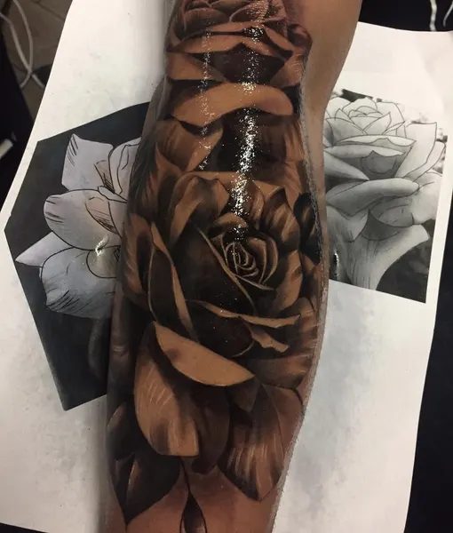 Flower, Rose