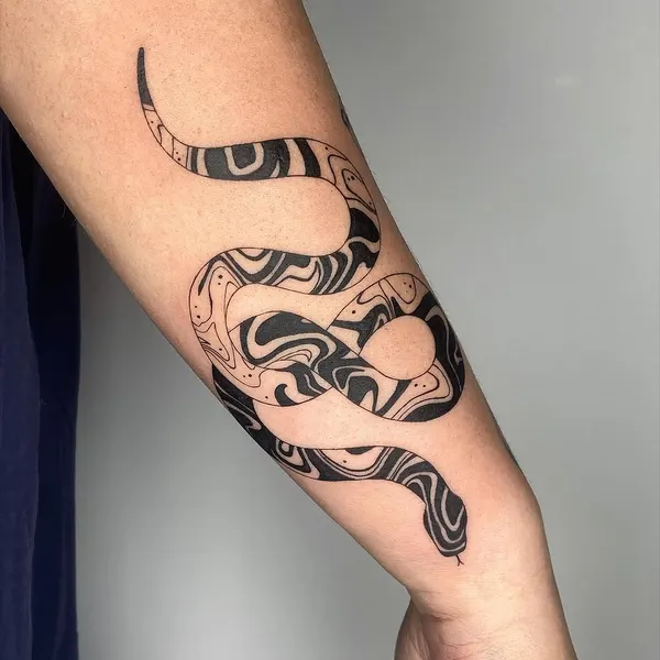 Dragon, Snake