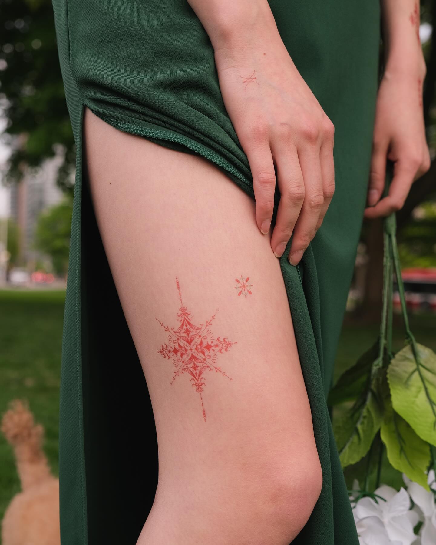 Flower, Rose