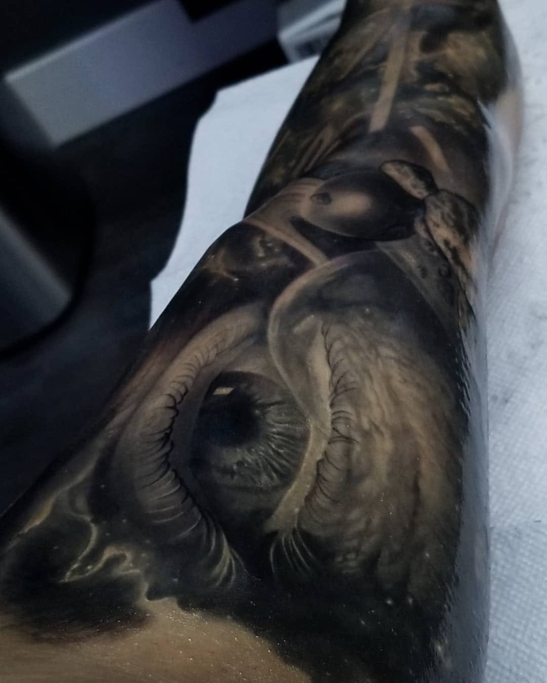 Dragon, Animal